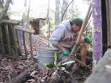 composting poop with worms: part 1