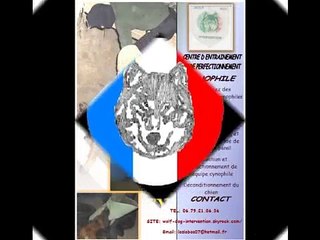 CONTROLE D UN VEHICULE ET PALPATION DE SECURITE