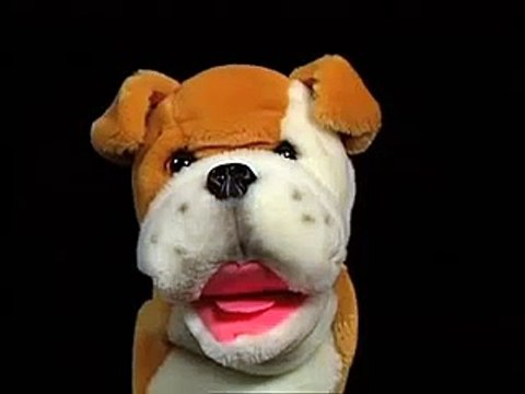 Baby Mozart Discovery Kit Animals Baby Einstein