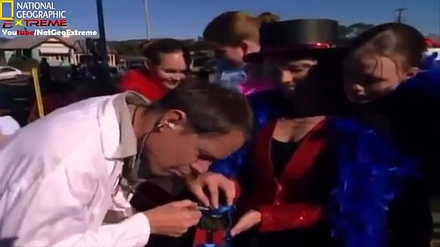 Wildlife Animals - Discovery Channel -The Most Extreme Speed National Geographic