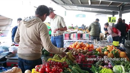 Road Scholar: Living and Learning in Florence: Independent Stay and Language Study