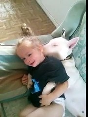 Little Girl And Bull Terrier Cuddle