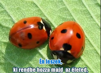 Cserháti Zsuzsa - Én leszek