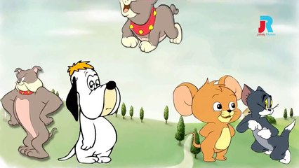 TOM AND JERRY Cartoon Finger Family Animation Nursery Rhymes For Children