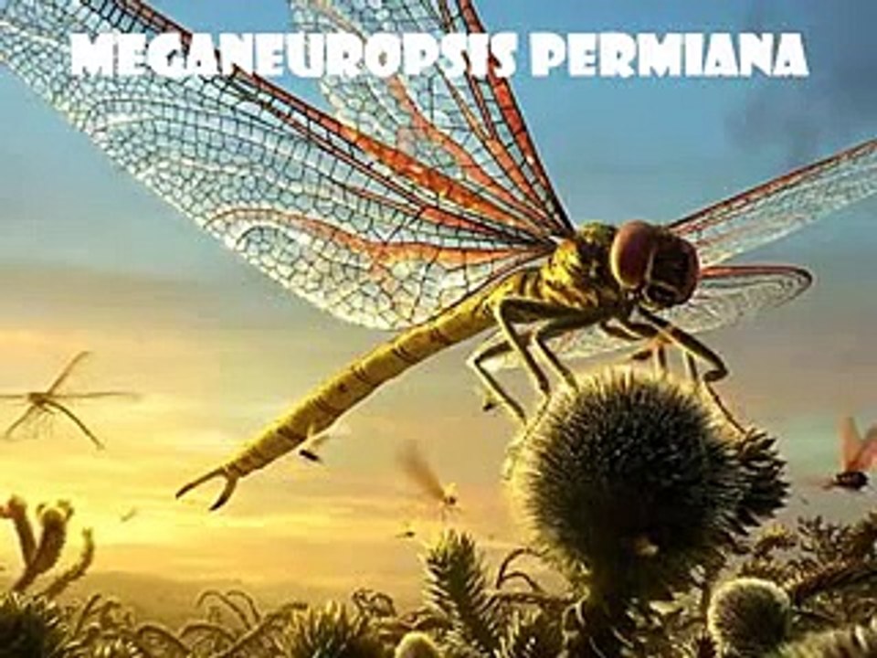 اجمل 10 حيوانات في التاريخ World's 10 Biggest Animals of All Time