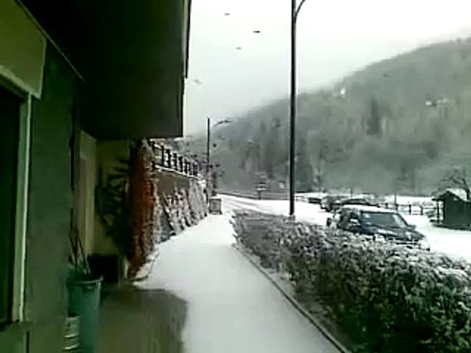 Uccelli di Hitchcock