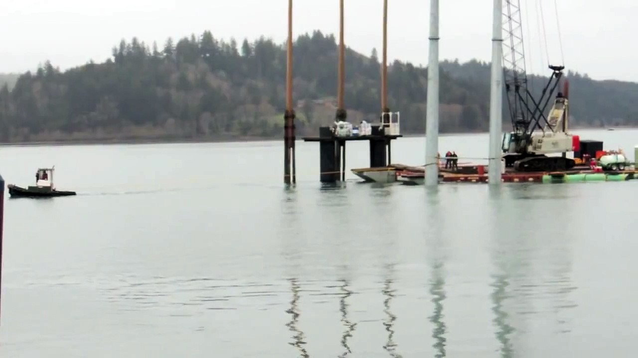 crane collapse