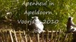 Apenheul Apeldoorn  -  Affenpark Apeldoorn  -  Primate Park Apeldoorn