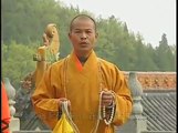 Shaolin kung fu meteor hammer