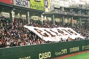 Japan Part 2: Tokyo Baseball Game