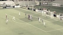 Andrea Pirlo Amazing Free Kick Goal - Fiorentina vs Juventus 0-1 (Europa League 2014) HD