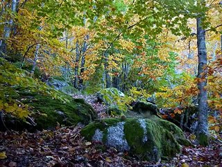 PAISAGENS DE PORTUGAL - CENTRO