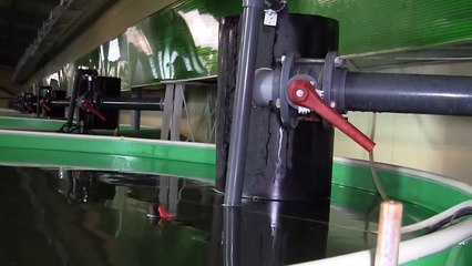 Рыбопосадочный материал для товарных хозяйств. БГСХА. г. Горки