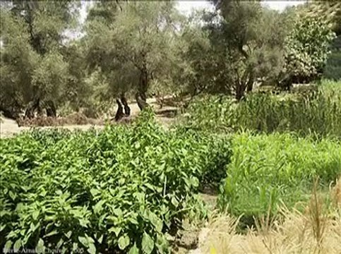 Jbal Rif - Saida Fikri- By NourddineBGB