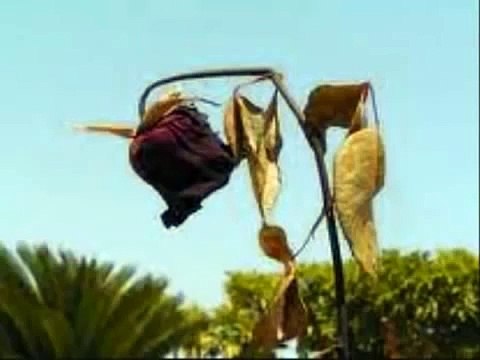 La rosa y el sapo, Reflexiones de vida, Reflexiones para el alma