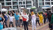 Flash Mob - Animal Awareness