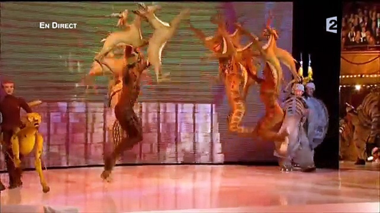 Le Roi Lion, le cercle de la vie