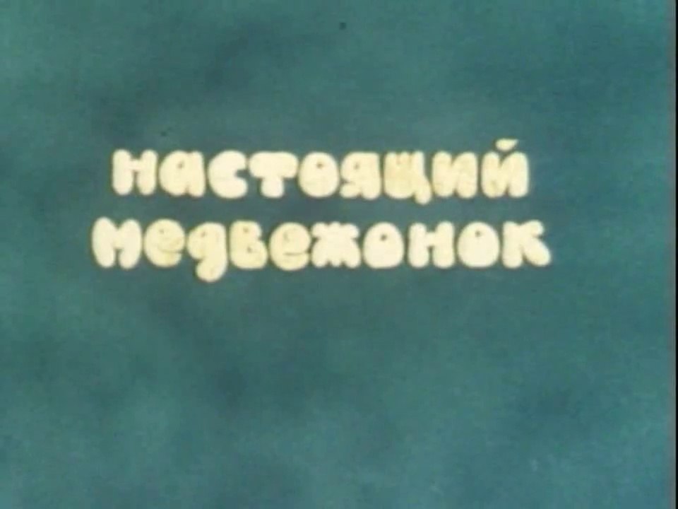 Настоящий медвежонок (1977)