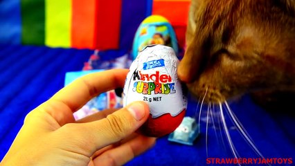 Welcome to StrawberryJamToys!