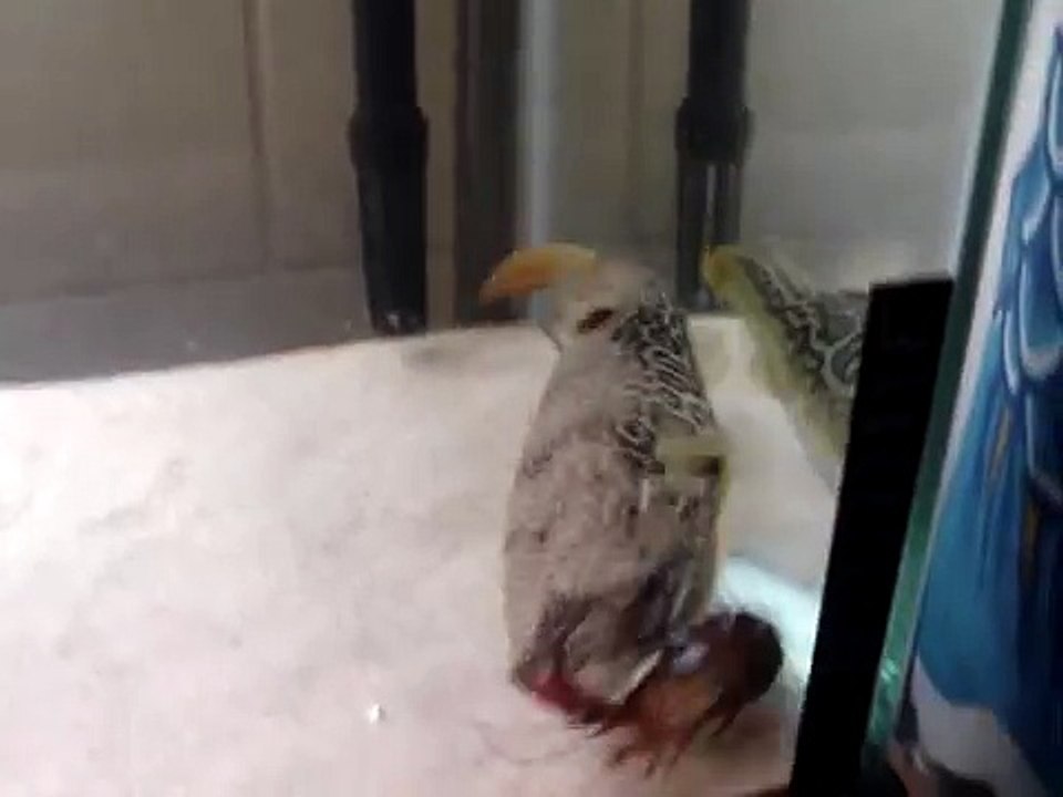 mbu eating