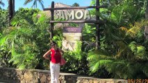 Samoan Dance, (Funny) Coconut Tree Climbing Contest (May 26, 2011)