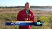 Caught on camera: Bear swims near boat in Folsom Lake