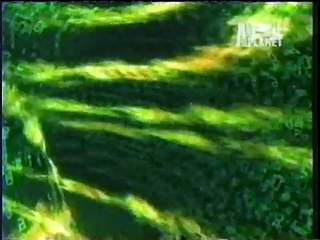 The Most Extreme Blood Suckers 5, 4 and 3