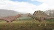 Spinosaurus vs Carcharodontosaurus - Planet Dinosaur - BBC