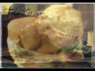 Tidal Wave (Lyrics)
