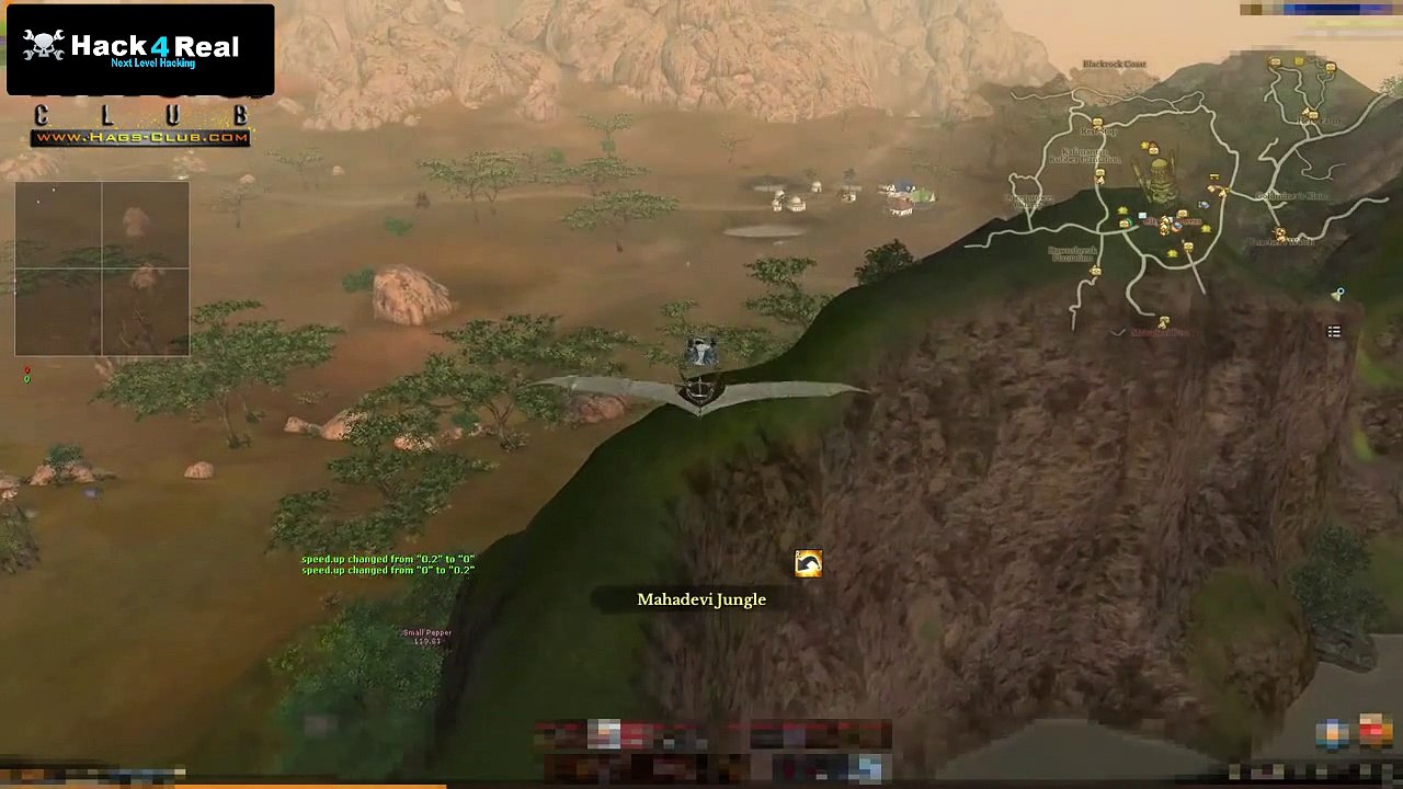 Archeage Hack Demonstration