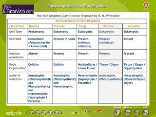 Understanding Biological Classification: The Key to Nature’s Diversity 🌿