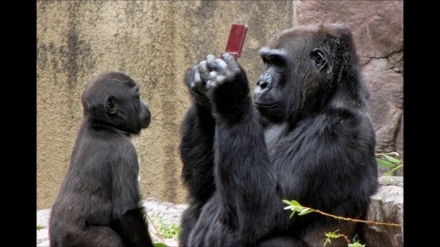 No photoshop editing on these photos - Crazy photo compilation