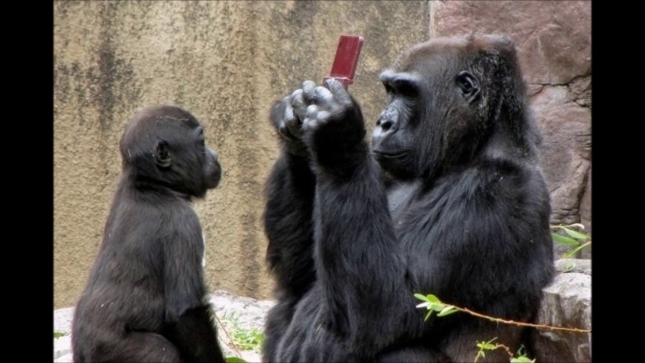 No photoshop editing on these photos - Crazy photo compilation