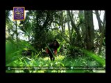 Activity in Madventures Season 2 - ARY Digital