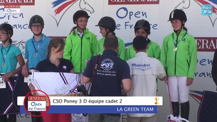 CSO Poney 3 D équipe cadet 2