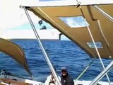 Beneteau 523 Sailing up to 9.3 knots near Catalina Island