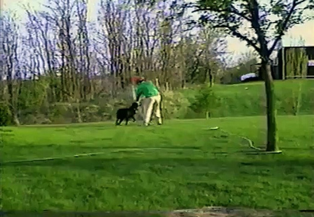 Un chien se venge de son maître pour tous ses bains...