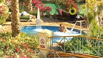 Thomson Video - Egypt Hotels, Red Sea, The Hyatt Regency Sharm El Sheikh