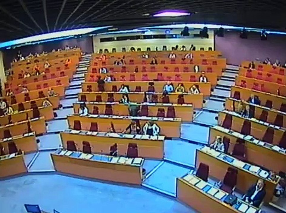 Conseil Régional groupe PRG-MDP Muriel Guenoux le 10.07.2015 Communication sur l'emploi