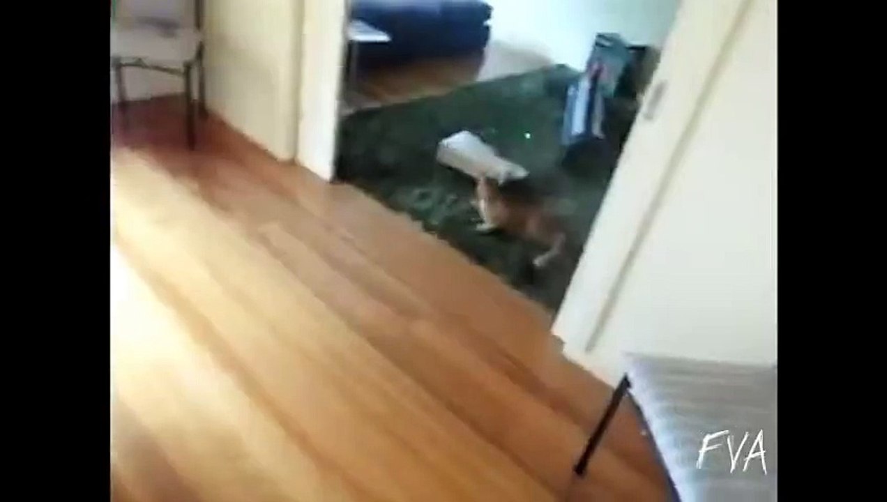 Funny Fail Collection 02