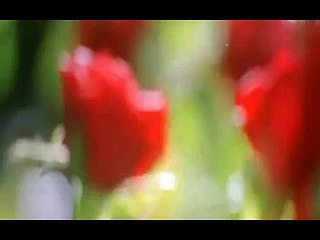 Mottukale Mottukale song from Roja Kootam movie