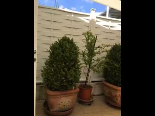 MeteoReporter Padova 20/06/2015