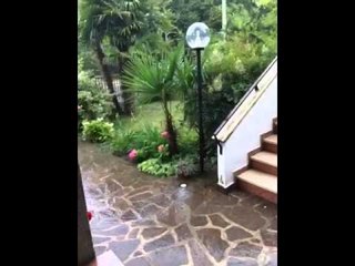 MeteoReporter Padova 12/06/2015