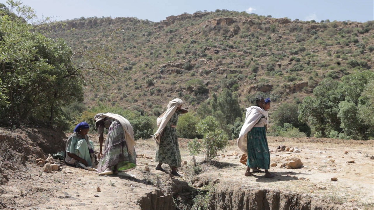 Ethiopie: 30 ans après la famine, le nord retrouve des couleurs