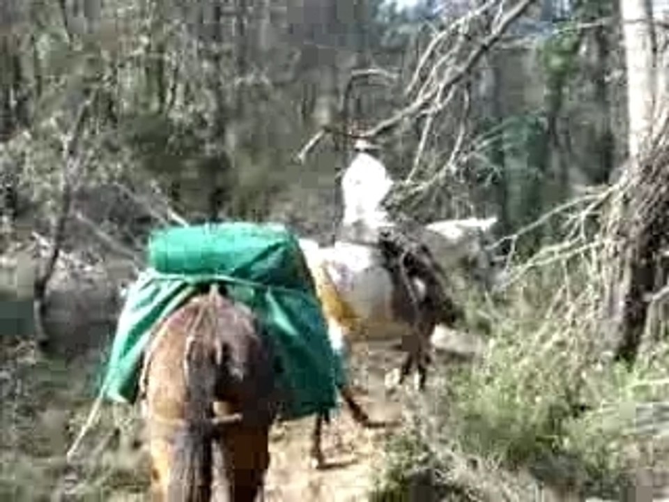 Petit sentier de colline