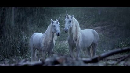 Les Licornes - Pub CANAL+