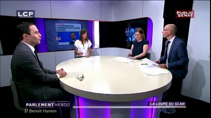 Intégrale la loupe du scan /Benoît Hamon