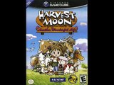 DEFINITE Top 20 VGM - Harvest Moon: A/Another Wonderful Life: Quiet Winter (#09)