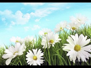 Canon in D Pachelbel (版本二) 音樂盒 八音盒 Musical Box