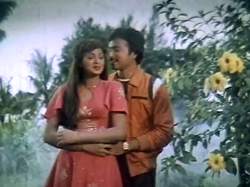 Engenge Neethan - Jaishankar, K.R.Vijaya - Apoorva Sahodarigal - Tamil Romantic Song